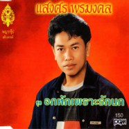 แสงศร พรมงคล - อกหักเพราะรักนก-web